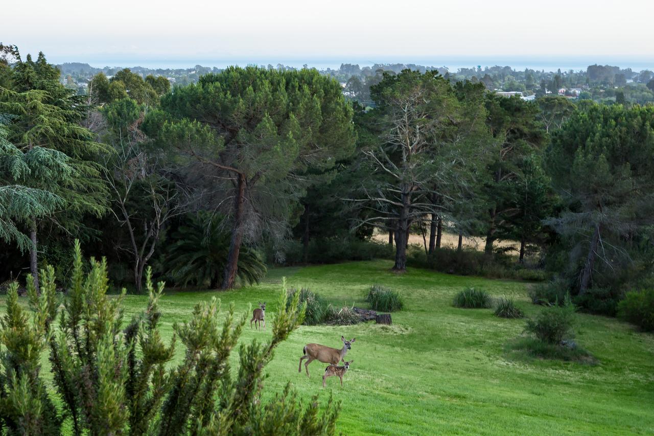 Chaminade & Santa Cruz